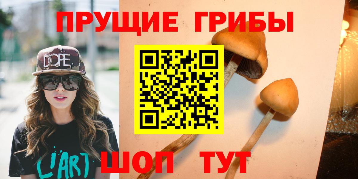 Псилоцибиновые грибы Cubensis  Вход с VPN  Галлюциногенные грибы Psilocybine cubensis  Богородицк 